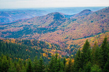 Beautiful autumn colors on the slopes of the Bucegi Mountains, Romania in October