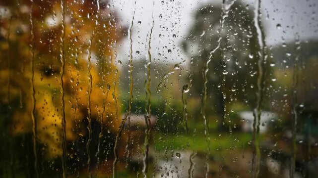 Rain streams down a window pane in a serene close-up, with individual water droplets clinging and merging into fascinating patterns. The soft, blurred background displays rich autumnal colors of dista