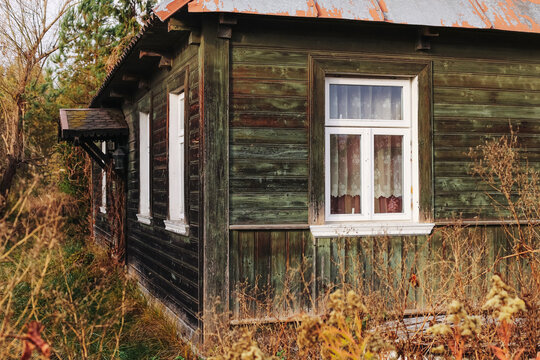 Abandoned green wooden house. Rustic countryside architecture. Window and aged wood texture. Autumn overgrown garden. Forgotten rural building scene. Vintage village atmosphere and warm sunlight. - Powered by Adobe