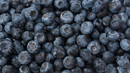 Blueberries in a plastic container isolated on a white background.