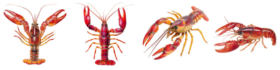 Delicious crawfish boil concept ready for a Louisiana feast, fresh seafood ready to be seasoned and enjoyed at your next summer party, vibrant crustaceans for tasty meals