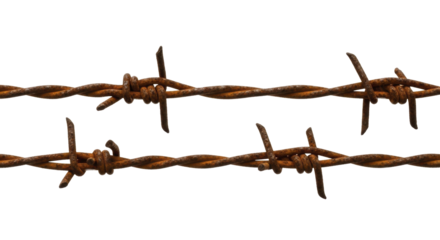  Two Strands of Weathered Rusty Barbed Wire on a Transparent Background PNG File for New Year Challenges