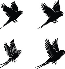 Four distinct black silhouette illustrations of parrots in mid flight showcasing wing positions and tail feathers against a clean white background
