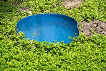 Zbiornik wodny dla małp na skraju dżungli na Borneo