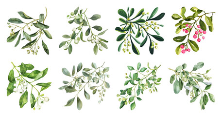 Watercolor botanical greenery collection.