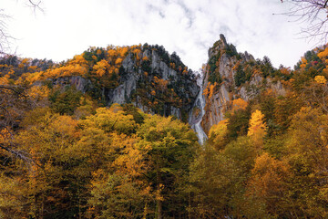 Fototapeta premium 層雲峡の紅葉 