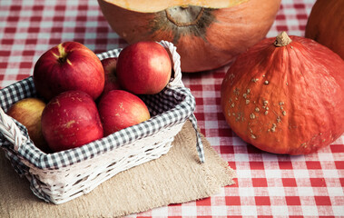 autumn nature concept. Fall pumpkins and apples