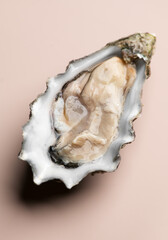 One oyster on beige background, macro shot of open fresh french Fine de Claire oyster. Gourmet...