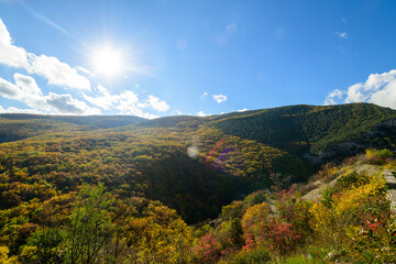mountain landscape in autumn