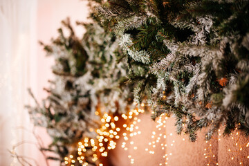 Christmas fir branches with warm fairy lights, festive winter decoration.