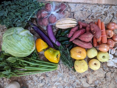 What is in season at a CSA pickup in October in Iowa. Small community supported farms can produce a lot of healthy and organic food close to home - Powered by Adobe