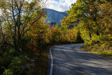 road in the forest