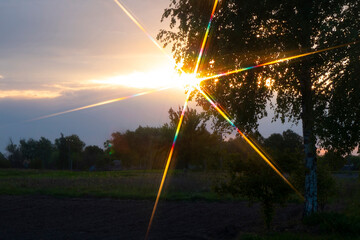 Spectrum of light of the setting sun.
In the evening, the red part of the spectrum prevails. It creates warm tones.
