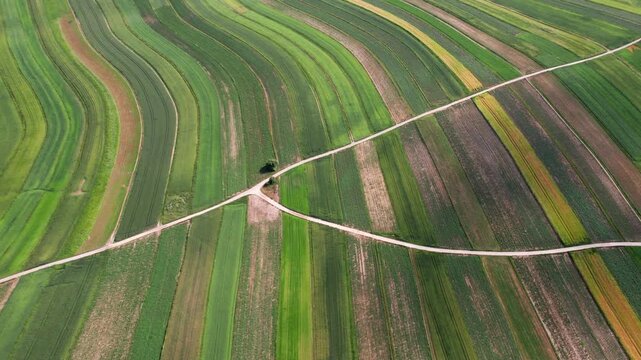 Beautiful countryside fields showcase vibrant colors in rural landscape