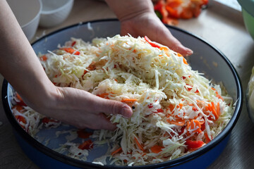 colorful pickled salad