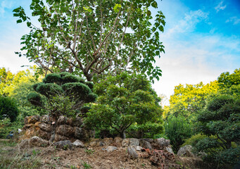 Fototapete bei efototapeten.de bestellen   