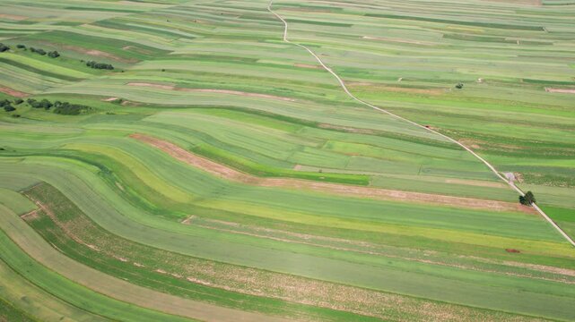 Vibrant patchwork of fields showcases agricultural beauty in summer light