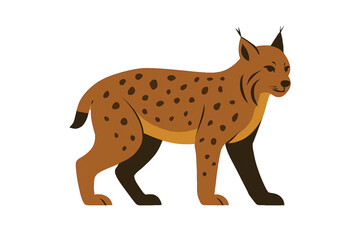 Lynx Vector Illustration Wild Forest Cat Design Spotted Wildlife Graphic