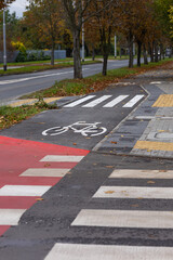 Urban bicycle lane with white painted road marking symbol for cyclists near pedestrian crosswalk on autumn city street with fallen leaves. Sustainable transport, safe cycling routes and eco mobility
