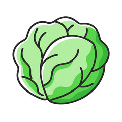 Scalable vector illustration of a fresh green cabbage icon