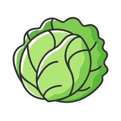 Green cabbage vector illustration scalable icon