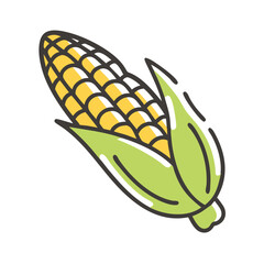 Vector illustration of a fresh corn cob with green leaves