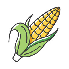Vector illustration of a fresh ear of corn ready to eat