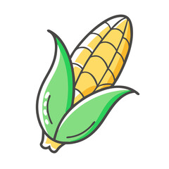 Scalable vector illustration of a fresh corn cob with green leaves