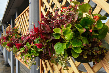 ハンギングフラワー