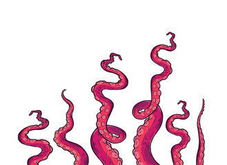 Tentacles of octopus, vector hand drawn collection of illustrations. Black and white engraving style drawings. Tentacle straight and with rings in different angles.