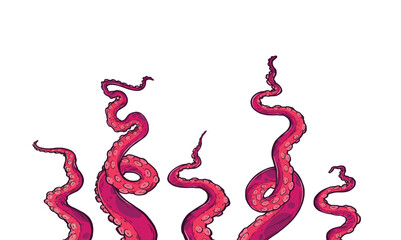 Tentacles of octopus, vector hand drawn collection of illustrations. Black and white engraving style drawings. Tentacle straight and with rings in different angles.