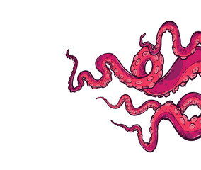 Tentacles of octopus, vector hand drawn collection of illustrations. Black and white engraving style drawings. Tentacle straight and with rings in different angles.