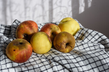 Manzanas de la huerta muy maduras sobre tela a cuadros recibiendo luz lateral con proyección de luces y sombras.