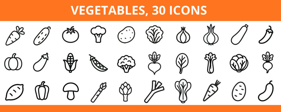 Collection of 30 vegetable icons in minimalistic line art style  