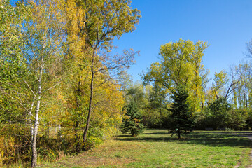 Fototapeta premium Autumn view of South Park in city of Sofia, Bulgaria