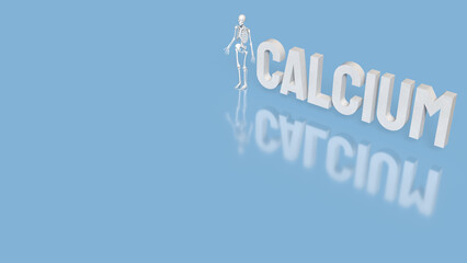 Fototapeta premium The Skeleton on blue Background for calcium concept 3d Rendering.