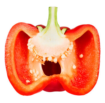 Red bell pepper cross section with visible seeds isolated on transparent background