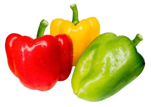 Three colorful bell peppers red yellow and green with water drops isolated on transparent background