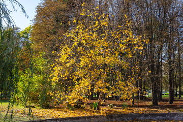 Autumn view of South Park in city of Sofia, Bulgaria