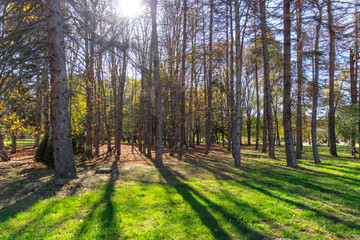 Autumn view of South Park in city of Sofia, Bulgaria