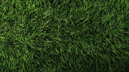 Abstract Green Grass Texture with Dark Shadows and Varying Shades of Green in Outdoor Sunlight