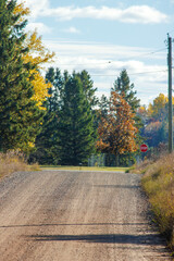 country road in autumn