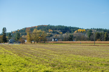 autumn landscape in the mountains