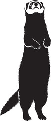 Alert ferret standing tall silhouette iconic pet mammal playful companion domestic animal wildlife creature image design element