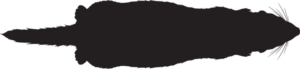 Silhouette of a playful ferret captured in a dynamic pose ready for action and adventure.