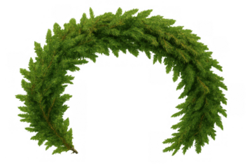 Green fir garland forming a decorative arch, perfect for christmas or holiday season designs, with transparent background