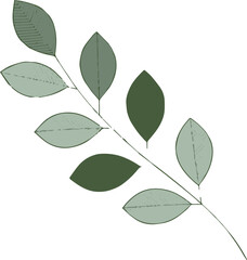 leaf branch illustration botanical vector green leaves seamless pattern