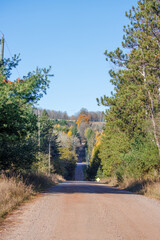 road in autumn forest