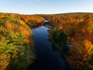 Fototapeta premium A calm winding river with blue hues. Both sides of the river have autumnal leaves, plants and trees. The aerial view of the water shows reflections of golden orange, vibrant red and amber earthy tones