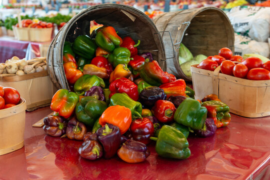A large round basket filled with organic green, red, orange and purple bell peppers. The sweet fruit is on display next to tomatoes, garlic and onions. The vegetables are for sale at a farmer's market